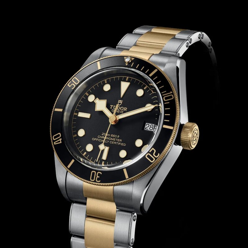 Reloj Tudor Black Bay S&G