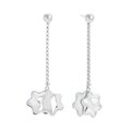 Aretes Montblanc 4810
