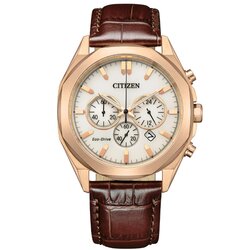 Reloj Citizen Classic