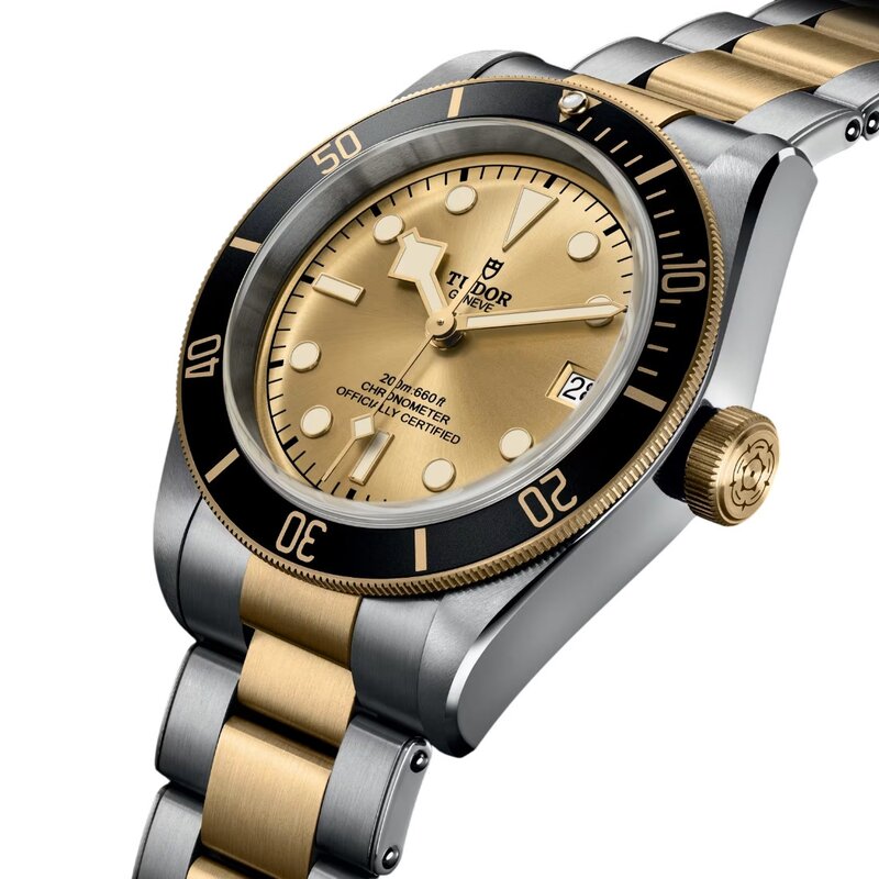 Reloj Tudor Black Bay S&G